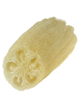 Naturalna Gąbka Roślinna Loofa 27cm Najel Duża